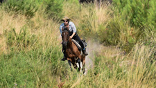 France-Landes-Jump & Trail in the Landes